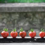 Start ook met een verticale moestuin op je balkon.