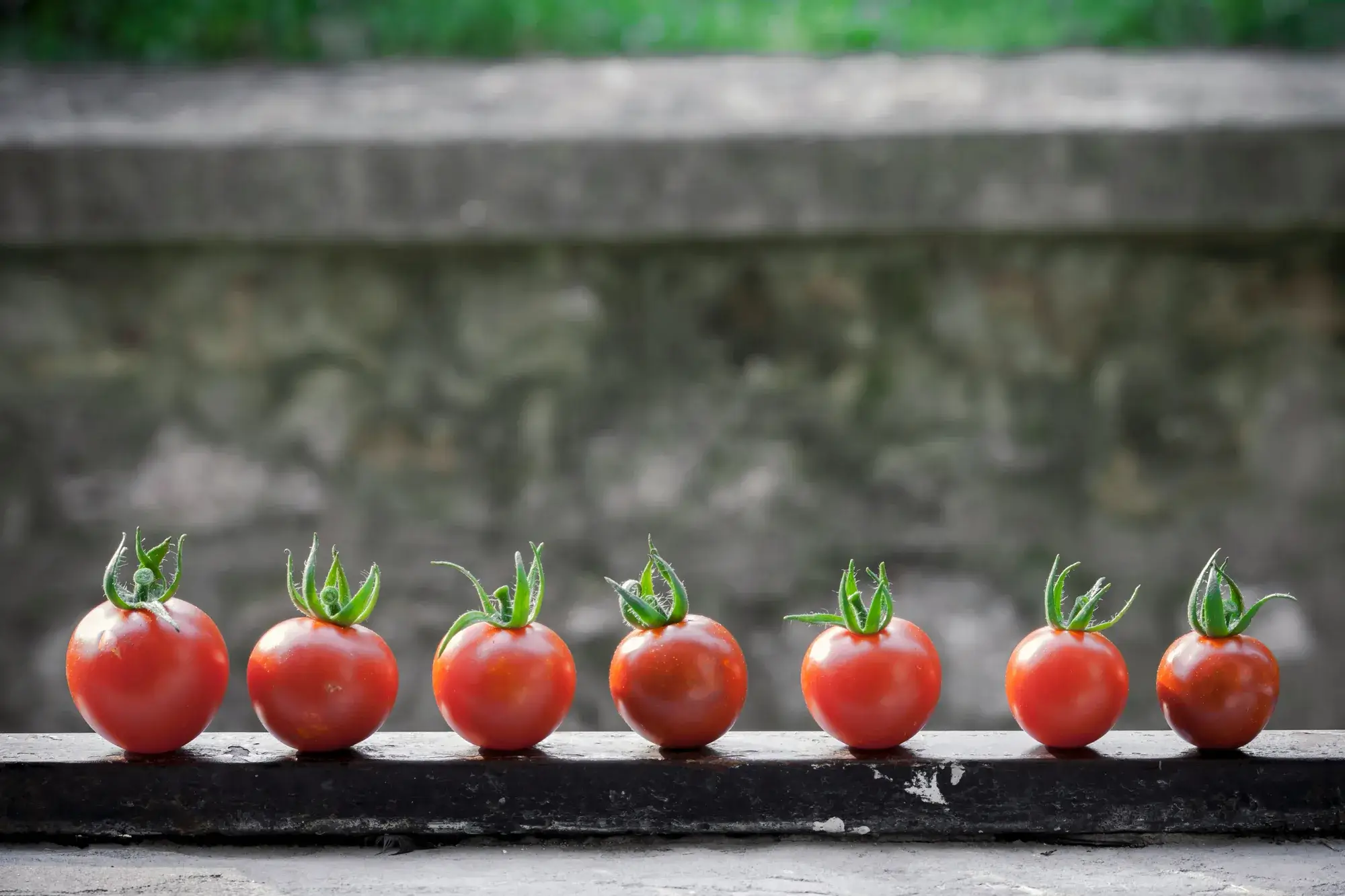 Start ook met een verticale moestuin op je balkon.